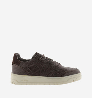 Sneakers Seul Marron - Victoria