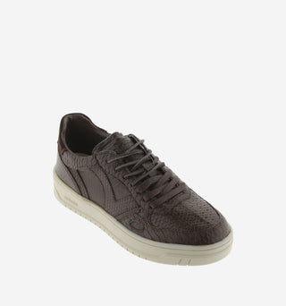 Sneakers Seul Marron - Victoria