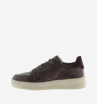 Sneakers Seul Marron - Victoria