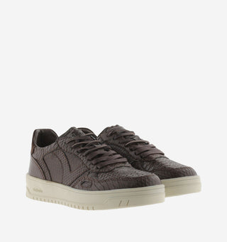 Sneakers Seul Marron - Victoria